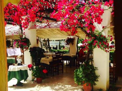 Bougainvillea, the dramatic exotic flower of Corfu - Discover Corfu's Nature - HireCorfu.com